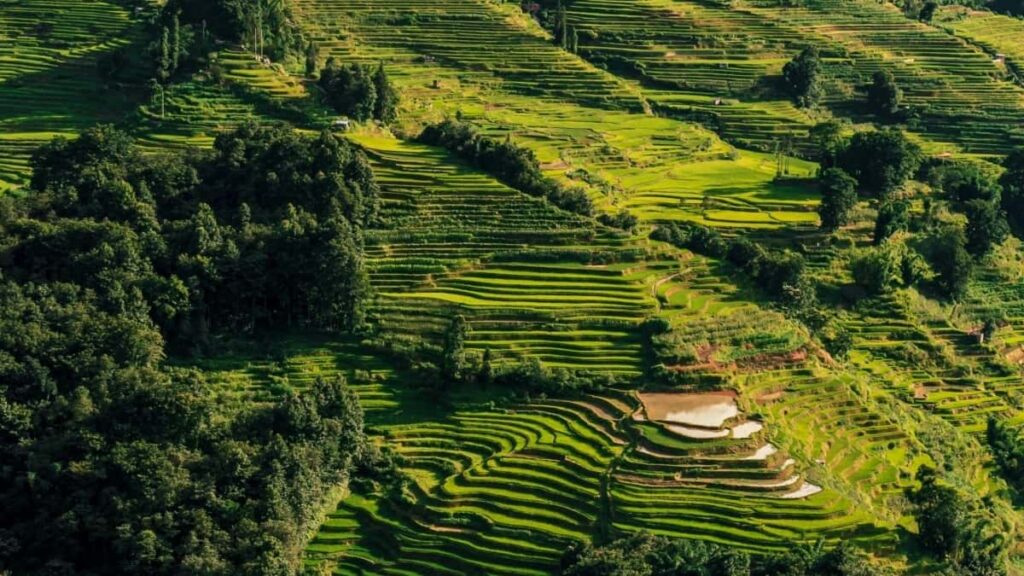 Top 10 TikTok Influencers para Colaborar en Indonesia desde Peru