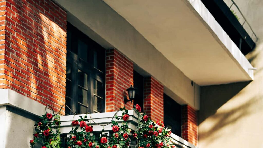 Guia practica para creadores en Peru que quieren llegar a marcas finlandesas en OnlyFans y unirse a micro seeding programs: pasos, plantillas, riesgos y herramientas.