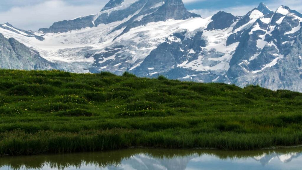 Guia practica para anunciantes en Peru: como localizar, evaluar y colaborar con creadores de Kuaishou en Estados Unidos para retos de baile, con tacticas, herramientas y ejemplos reales.