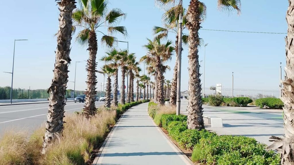 Guia practica para anunciantes en Peru: como identificar y contratar creators de Takatak en EE. UU. que realmente muevan descargas de tu APP.