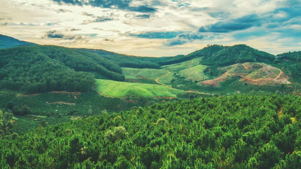 Guia practica para anunciantes peruanos que quieren contratar creadores en Telegram de Tanzania para ventas estacionales: estrategias, busqueda, contactos y riesgos.