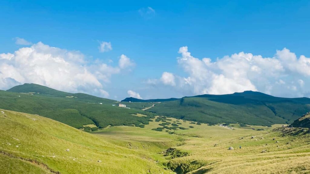 Guia practica para creadores peruanos: como contactar marcas alemanas en Twitter y proponer antes/despues que venden (donde, cuando y que decir).