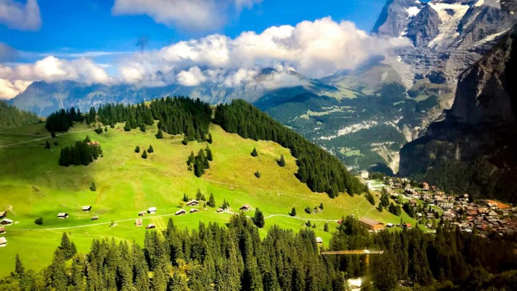 Guia practica para creadores en Peru: como acercarte a marcas de Kuwait vinculadas a lanzamientos de Netflix, disenar giveaways efectivos y evitar errores culturales.