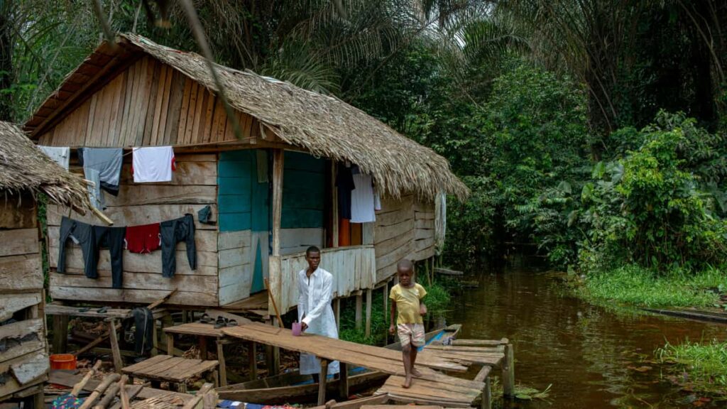 Guia practica para anunciantes peruanos: como localizar, evaluar y contratar creators de eBay en Argelia para lanzar lineas de suplementos de salud.