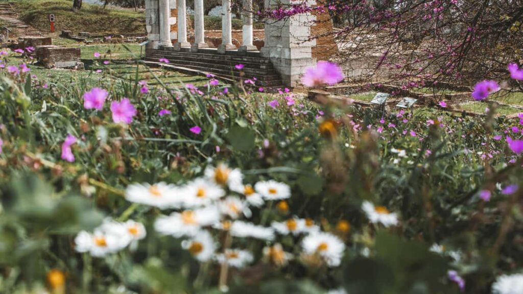 Guia practica para creadores peruanos que buscan contactar marcas de Letonia via ShareChat y grabar contenido detras de camaras (BTS). Estrategias, ejemplos y herramientas utiles.