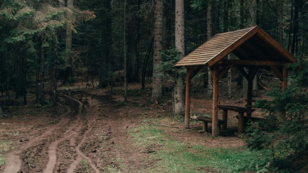 Guia practica para creadores en Peru sobre como acercarse a marcas libanesas relacionadas con HBO Max y monetizar canales con estrategias locales y tacticas probadas.