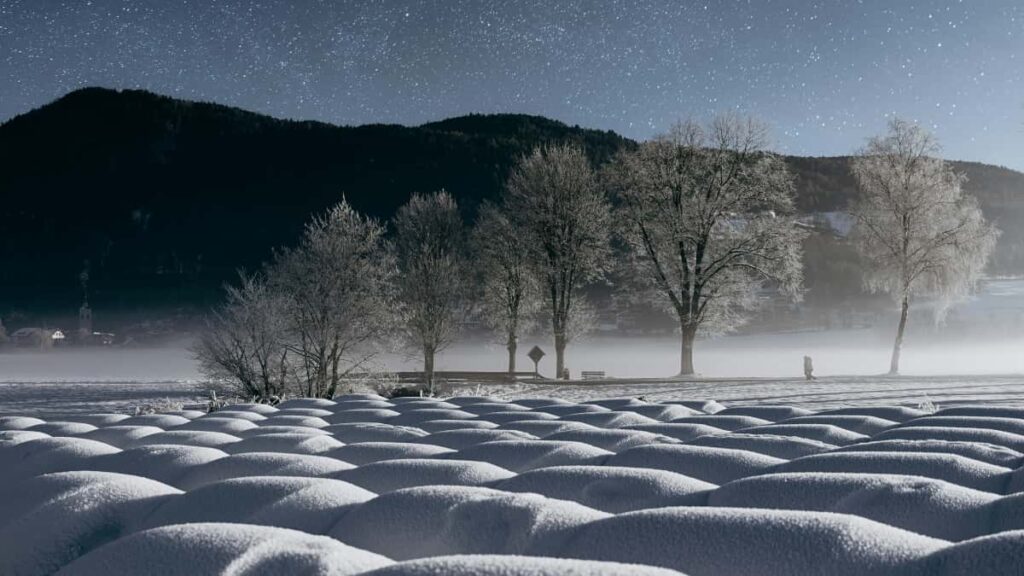 Guia practica para marcas en Peru: donde hallar y negociar con creadores suecos fans de HBO Max para lanzar drops limitados.