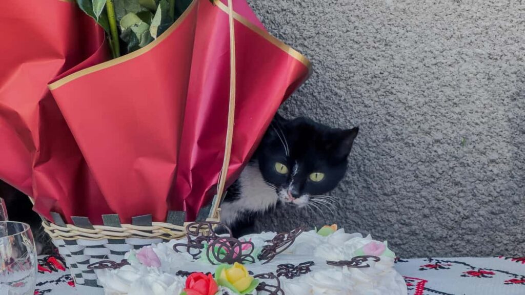 Guia practica para marcas peruanas sobre como identificar y colaborar con creadores armenios que usan Hulu para llegar a fans de musica mediante contenido de creator marketing.