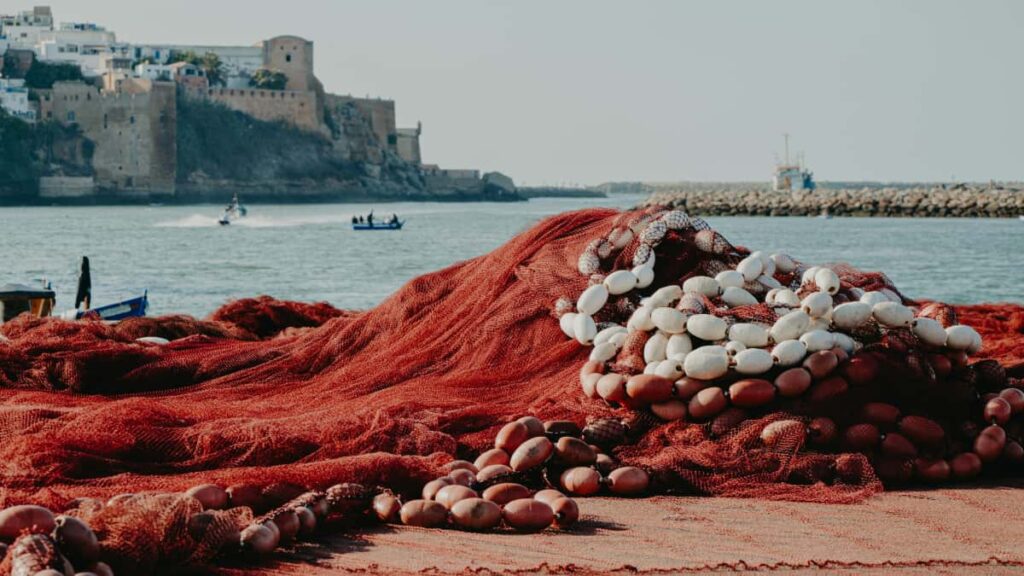 Guia practica para creadores en Peru que quieren contactar marcas de Canada en Chingari y compartir videos de wardrobe hauls: tacticas, plantillas y riesgos.