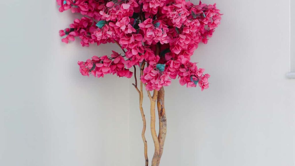 Guia practica para marcas peruanas que quieren localizar y colaborar con creadores estonios en Xiaohongshu y promocionar rutinas de bienestar via influencers.