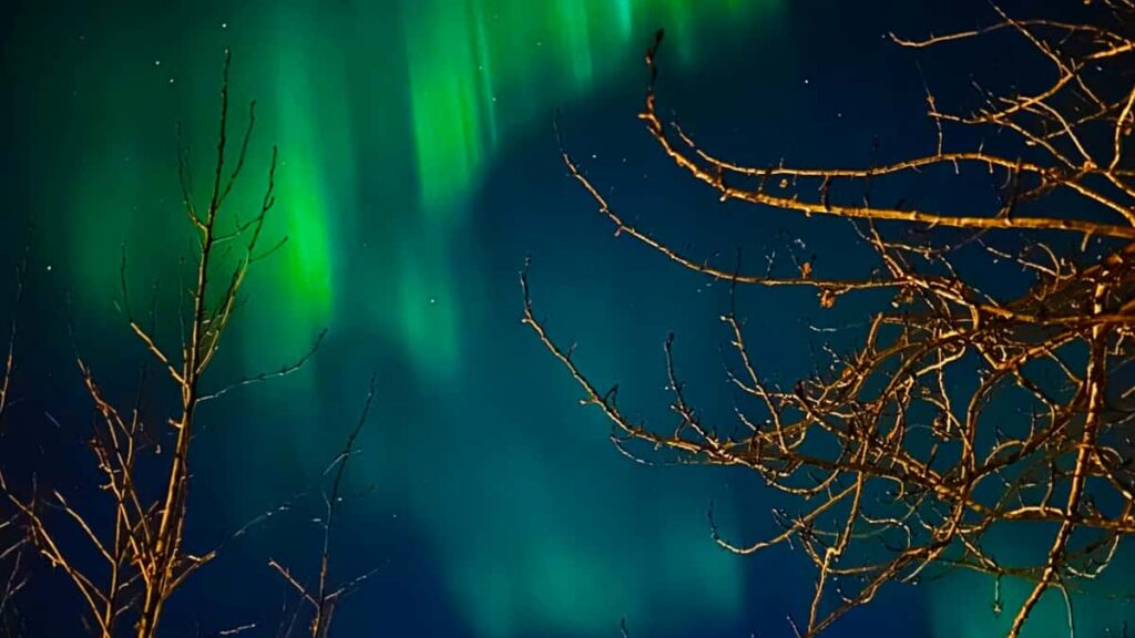 Guia practica para anunciantes peruanos: como localizar, evaluar y contactar creadores de contenido en Iraq que producen sobre Hulu y streaming.