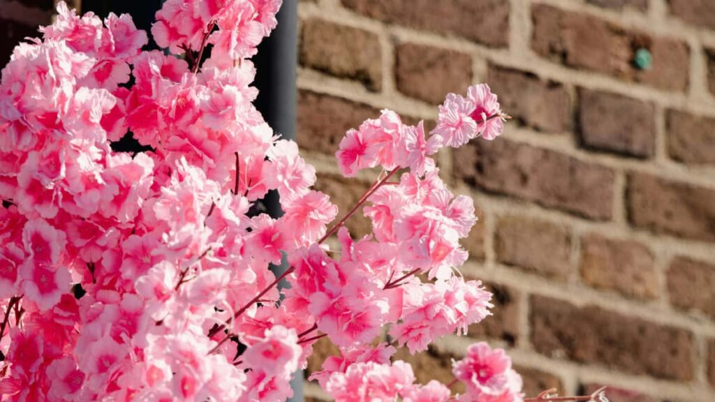 Guia practica desde Peru para identificar creators en Amazon Espana, probar demanda y lanzar test de producto con tacticas locales y herramientas globales.