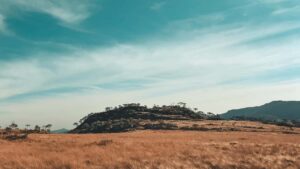 Guia practica para creadores en Peru que buscan contactar marcas rusas por Zalo y lograr patrocinios pagados: tacticas, riesgos y plantillas, con ejemplos y advertencias reales.